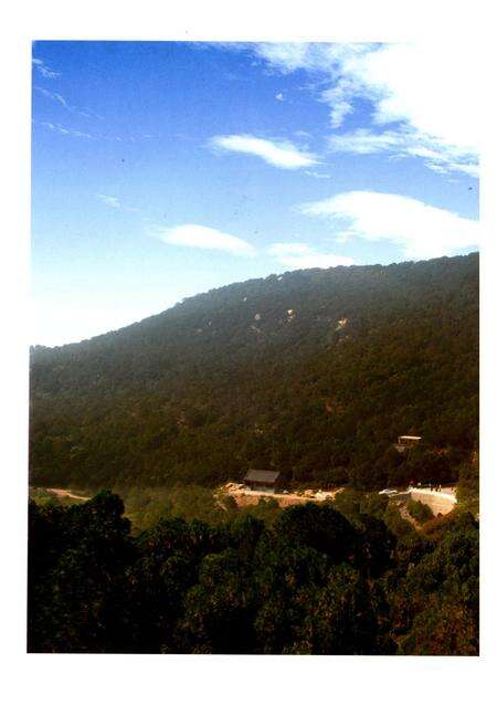 《龙林山志》.pdf电子版_山西省志预览图3