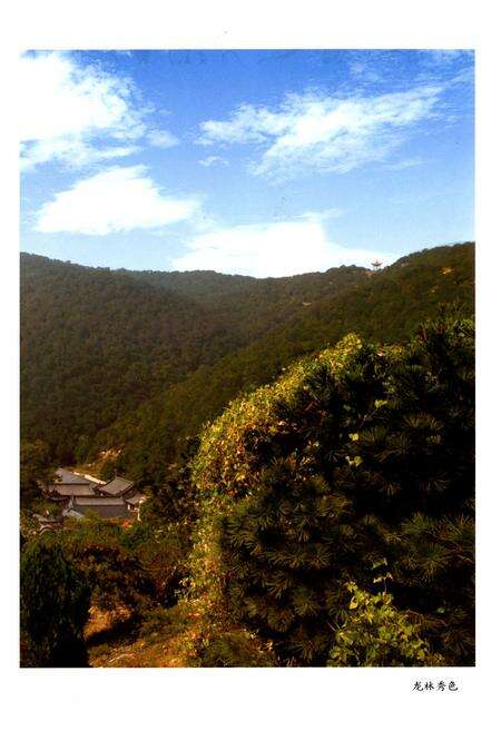 《龙林山志》.pdf电子版_山西省志预览图4