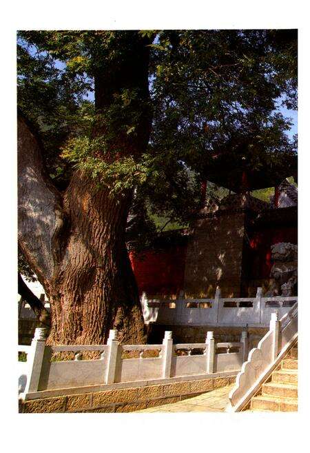 《龙林山志》.pdf电子版_山西省志预览图5