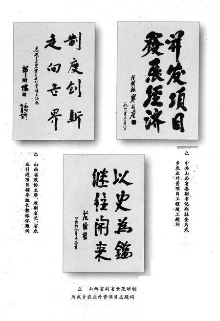 《武乡农业外资项目志》.pdf电子版_山西省志预览图4