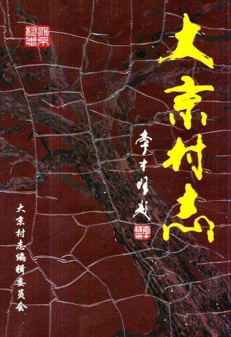 《《大京村志》》.pdf电子版_山西省志缩略图