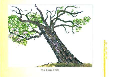 《《大京村志》》.pdf电子版_山西省志预览图5