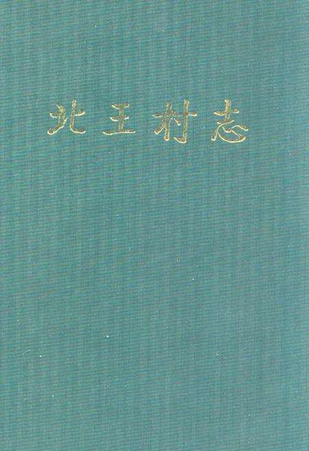 《北王村志》.pdf电子版_山西省志缩略图