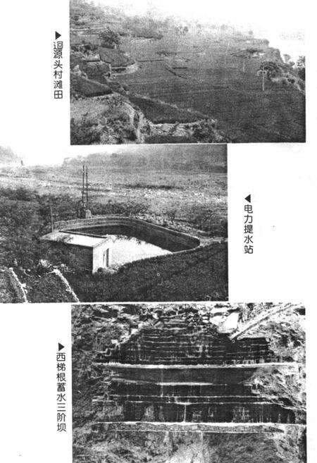 《迴源头村志》.pdf电子版_山西省志预览图5