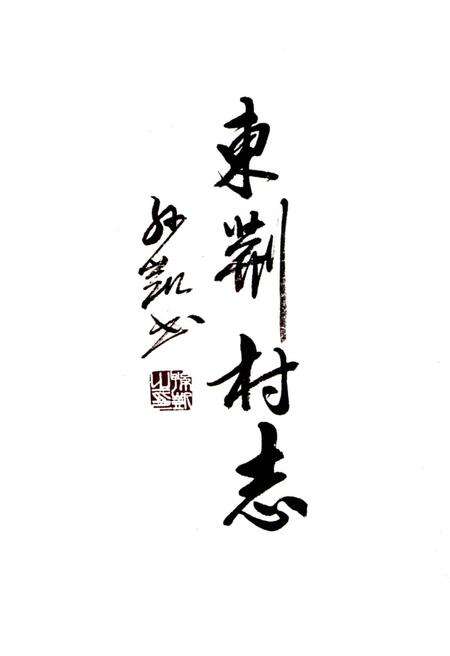 《东荆村志》.pdf电子版_山西省志预览图1