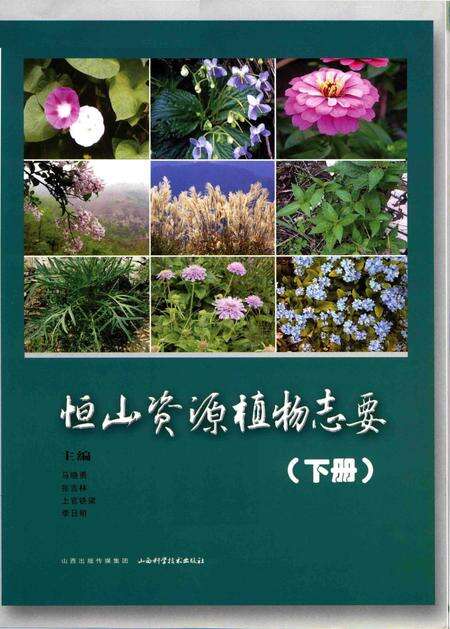《恒山资源植物志要》.pdf电子版_山西省志预览图1