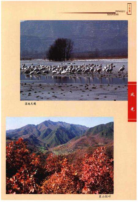 《平陆县志（1991-2005）》.pdf电子版_山西省志预览图5