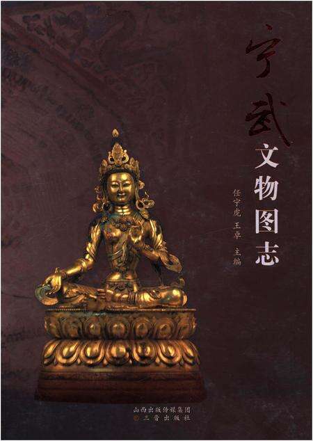 《宁武文物图志》.pdf电子版_山西省志缩略图