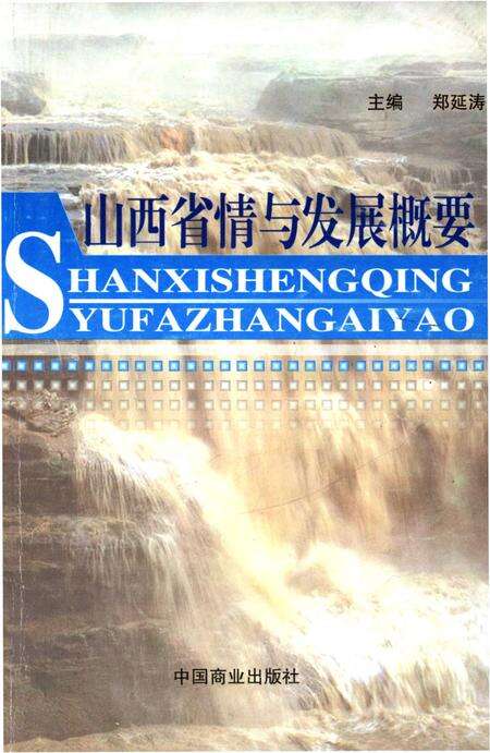 《山西省情与发展概要》.pdf电子版_山西省志缩略图