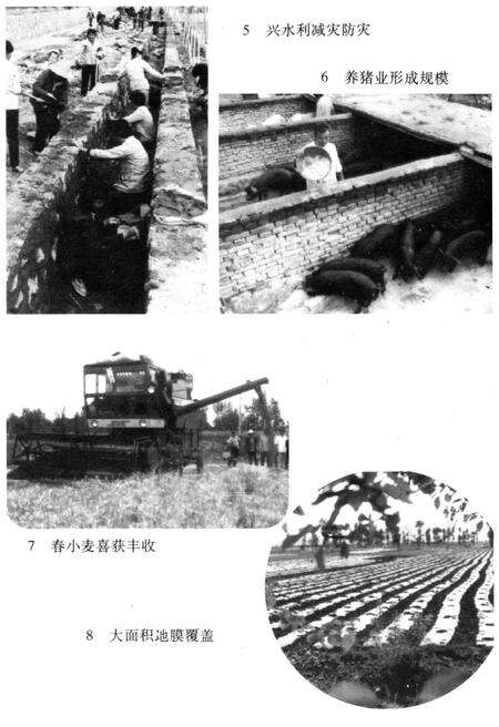 《阳高县情 1997》.pdf电子版_山西省志预览图5