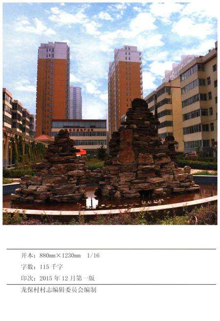 《龙保村志》.pdf电子版_山西省志预览图1