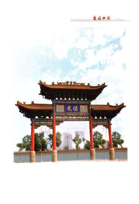 《龙保村志》.pdf电子版_山西省志预览图3