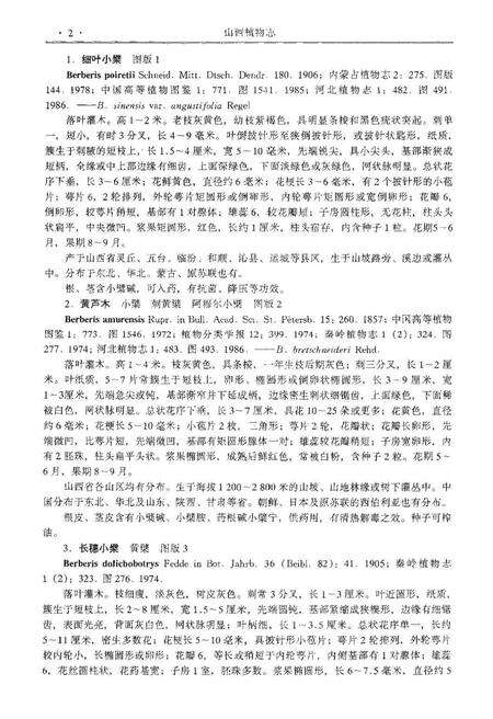 《山西植物志第二卷》.pdf电子版_山西省志预览图5