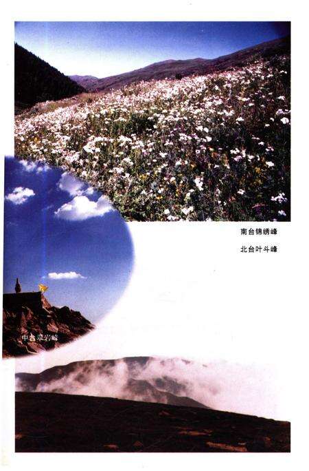 《读懂五台山 名胜篇》.pdf电子版_山西省志预览图5