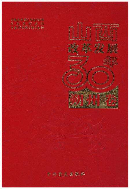《山西改革发展30年 朔州卷》.pdf电子版_山西省志缩略图