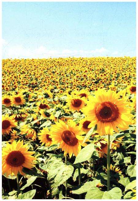 《长治司法行政三十年》.pdf电子版_山西省志预览图4