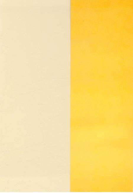 《阳曲县人民代表大会志 1949-2014 中》.pdf电子版_山西省志预览图5