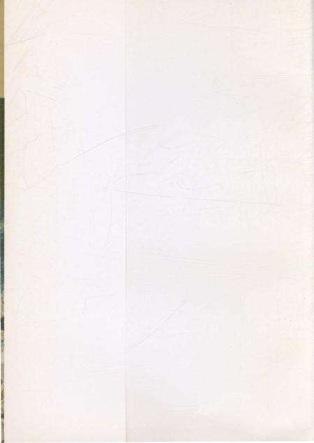 《寻根在洪洞·洪洞古大槐树处移民志》.pdf电子版_山西省志预览图1