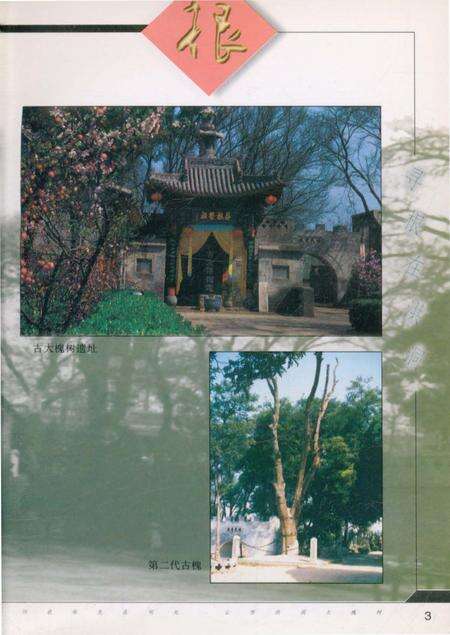 《寻根在洪洞·洪洞古大槐树处移民志》.pdf电子版_山西省志预览图5