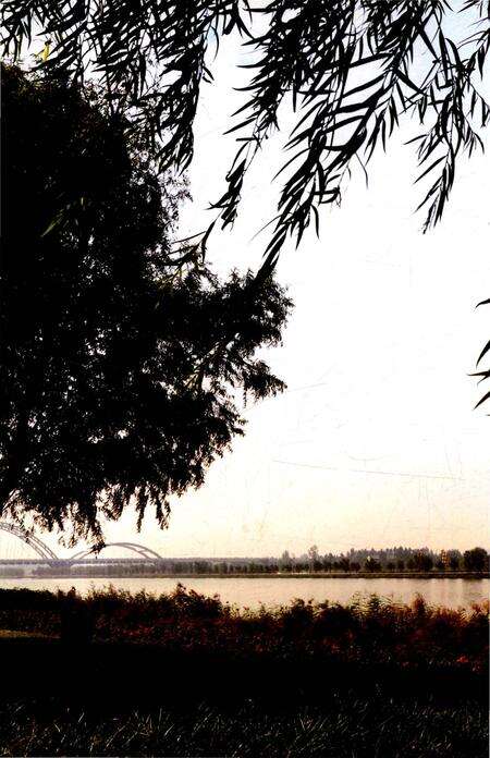 《临汾市残疾人联合会志》.pdf电子版_山西省志预览图4