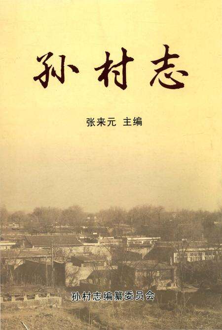 《孙村志（山西省忻州市忻府区）》.pdf电子版_山西省志缩略图