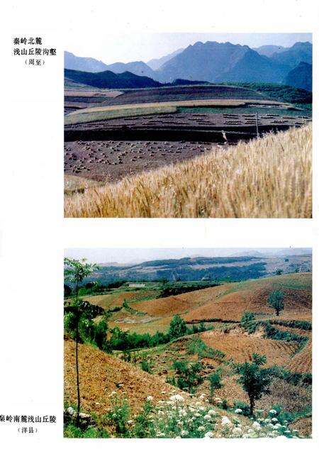 《陕西土壤》.pdf电子版_陕西省志预览图5