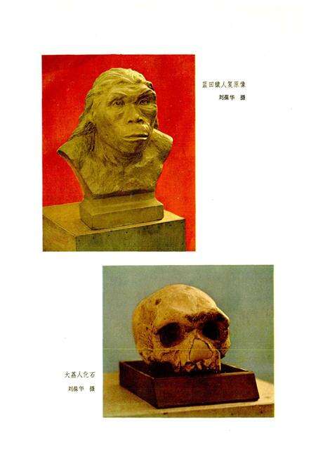 《陕西省志 人口志》.pdf电子版_陕西省志预览图1