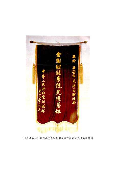 《西安市未央区地方志 财政志》.pdf电子版_陕西省志预览图2