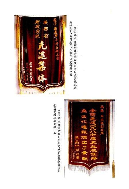 《西安市未央区地方志 财政志》.pdf电子版_陕西省志预览图5