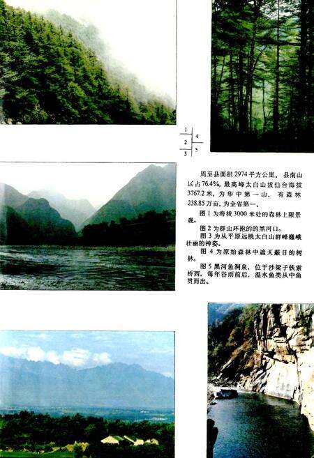 《周至县志》.pdf电子版_陕西省志预览图5
