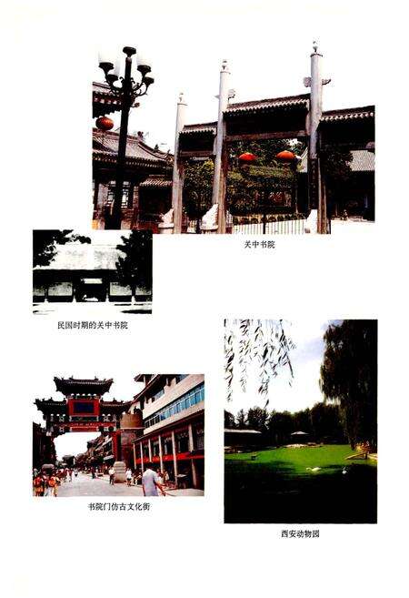 《碑林区志》.pdf电子版_陕西省志预览图4