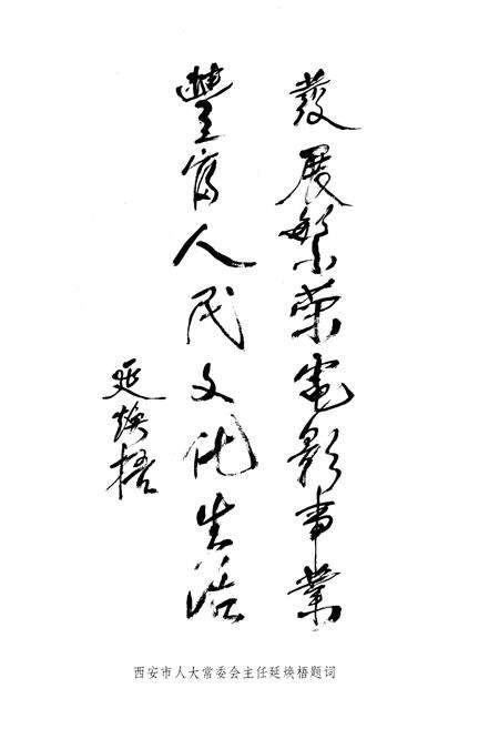 《西安电影志》.pdf电子版_陕西省志预览图4