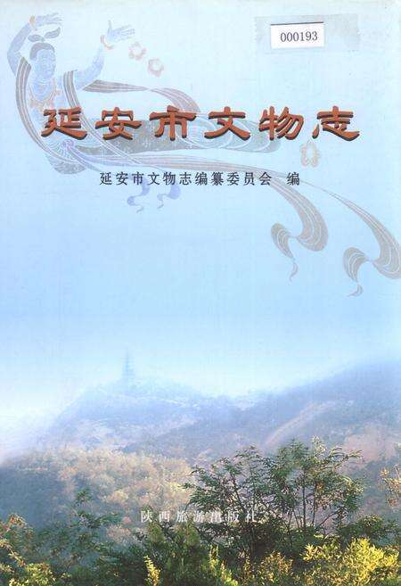 《延安市文物志》.pdf电子版_陕西省志缩略图