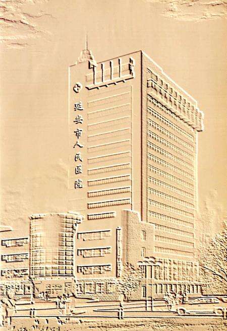 《延安市人民医院志》.pdf电子版_陕西省志预览图3