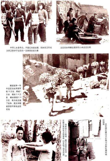 《延安市妇女运动志》.pdf电子版_陕西省志预览图5