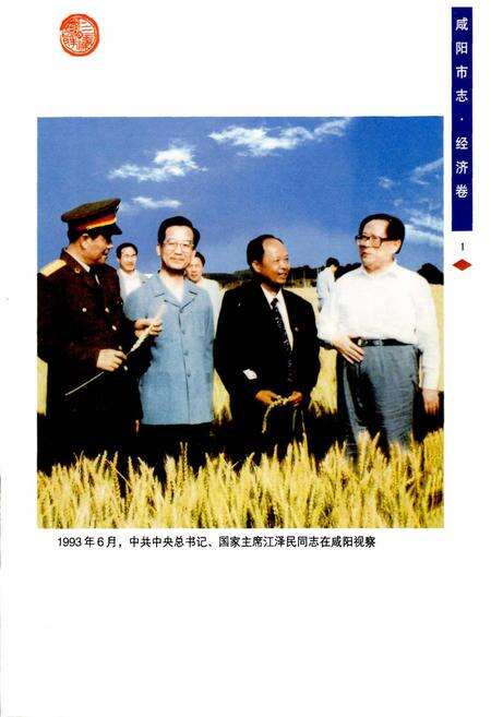 《咸阳市志 二》.pdf电子版_陕西省志预览图4