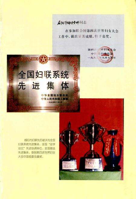 《咸阳市妇女志》.pdf电子版_陕西省志预览图4