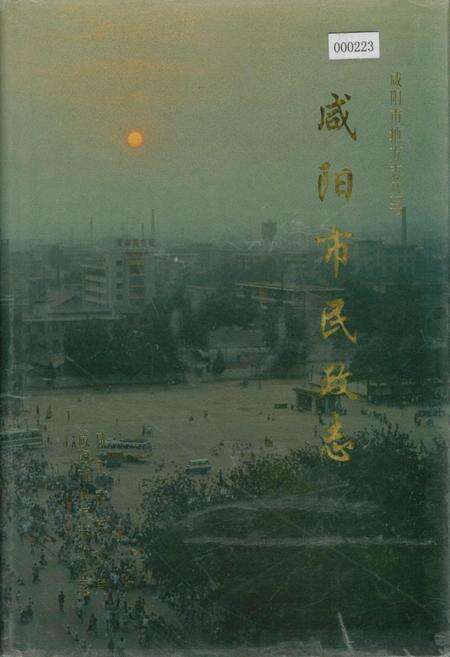 《咸阳市民政志》.pdf电子版_陕西省志缩略图