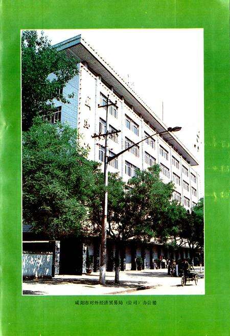 《咸阳市对外贸易志》.pdf电子版_陕西省志预览图3