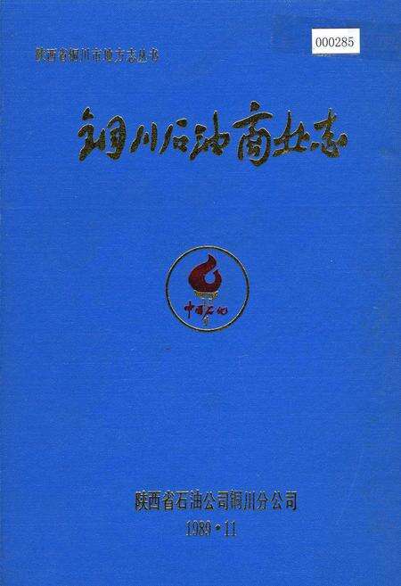 《铜川石油商业志》.pdf电子版_陕西省志缩略图