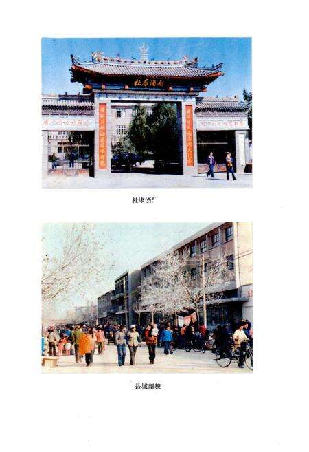 《白水县志》.pdf电子版_陕西省志预览图4
