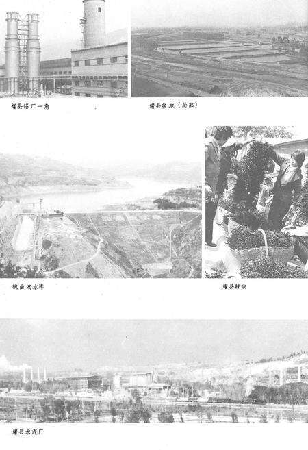 《陕西省铜川市地理志》.pdf电子版_陕西省志预览图5