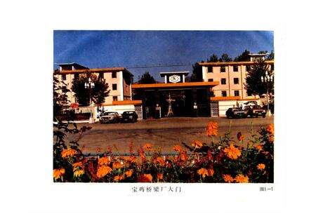 《宝鸡机械工业志》.pdf电子版_陕西省志预览图3