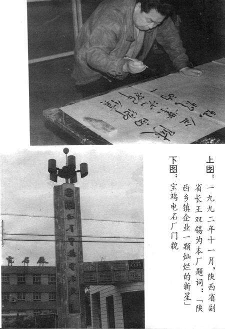 《宝鸡电石厂志》.pdf电子版_陕西省志预览图5