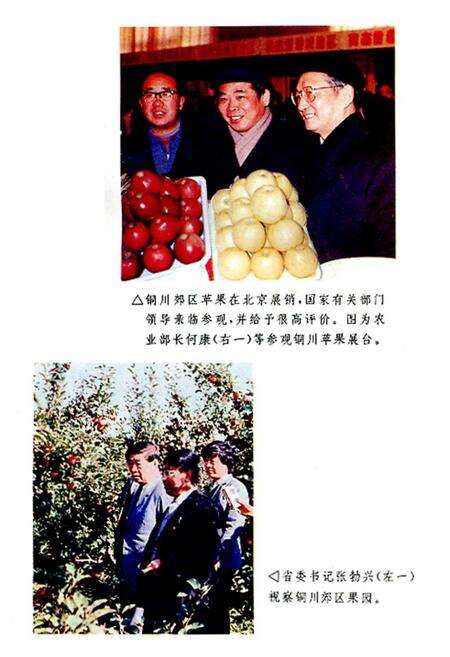 《铜川郊区苹果志》.pdf电子版_陕西省志预览图2