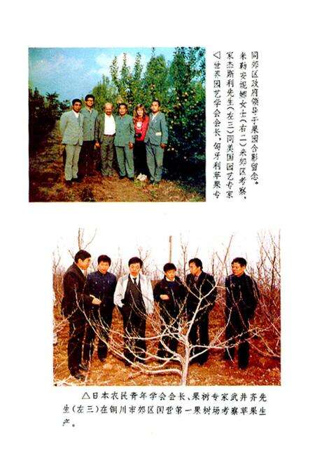 《铜川郊区苹果志》.pdf电子版_陕西省志预览图3