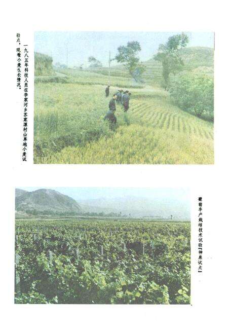 《陇县科技志》.pdf电子版_陕西省志预览图5