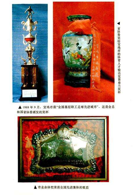 《宝鸡市体育志》.pdf电子版_陕西省志预览图3