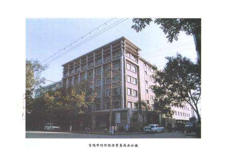 《宝鸡市对外经济贸易志》.pdf电子版_陕西省志预览图3