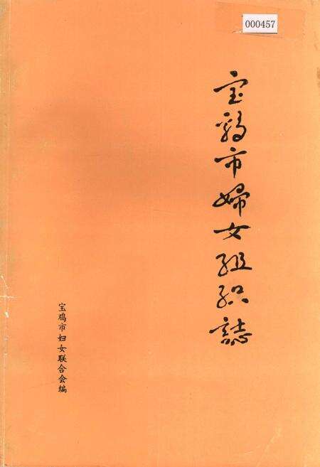 《宝鸡市妇女组织志》.pdf电子版_陕西省志缩略图